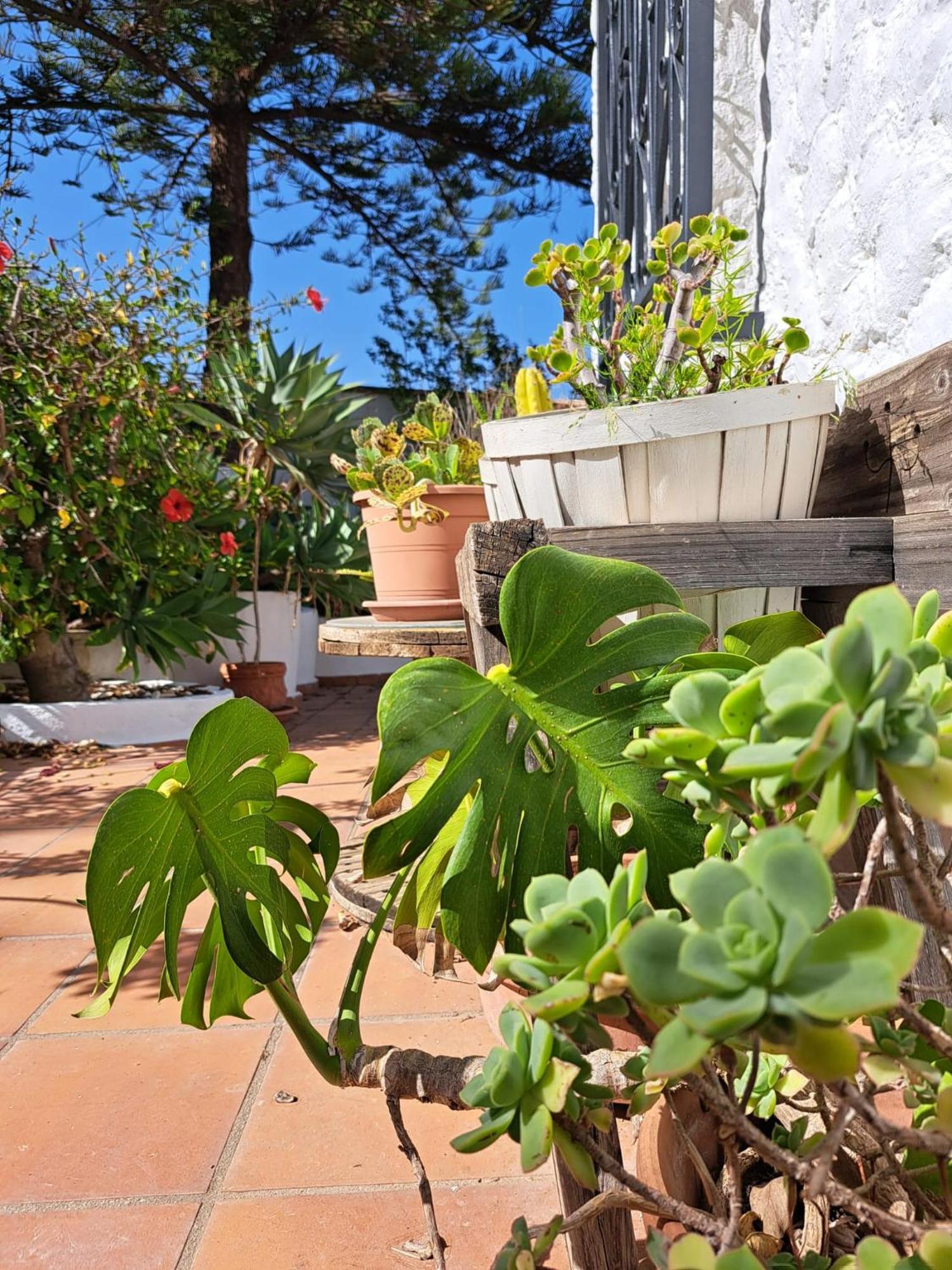 מאלגה Casa Campo Mijas Costa Del Sol מראה חיצוני תמונה
